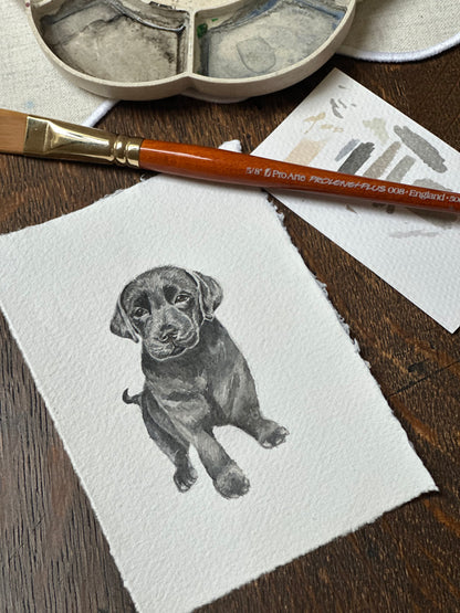 Bespoke miniature beloved pet portrait painting | Sentimental watercolour keepsake artwork