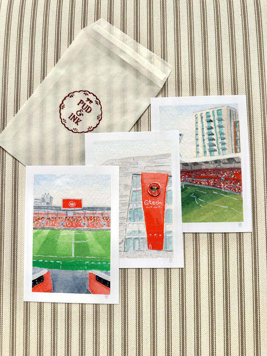 Miniature stadium scene prints - Brentford Gtech Community Stadium | Football prints